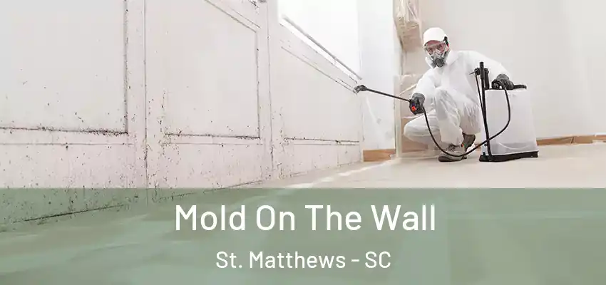 Mold On The Wall St. Matthews - SC