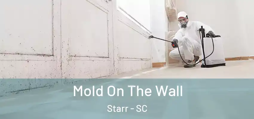 Mold On The Wall Starr - SC