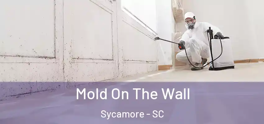  Mold On The Wall Sycamore - SC