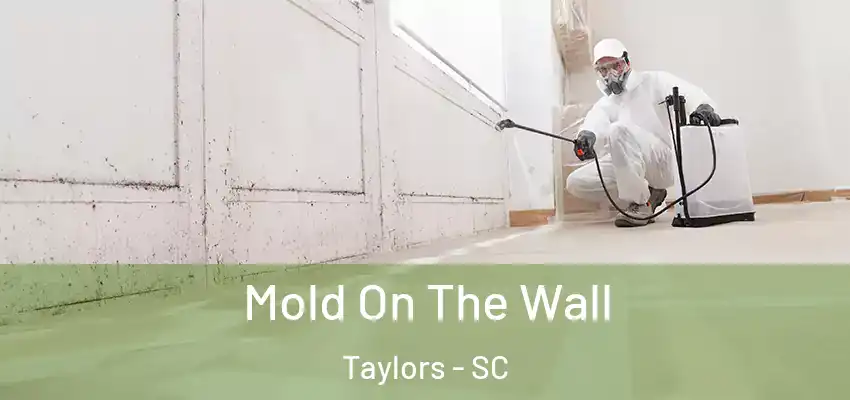 Mold On The Wall Taylors - SC