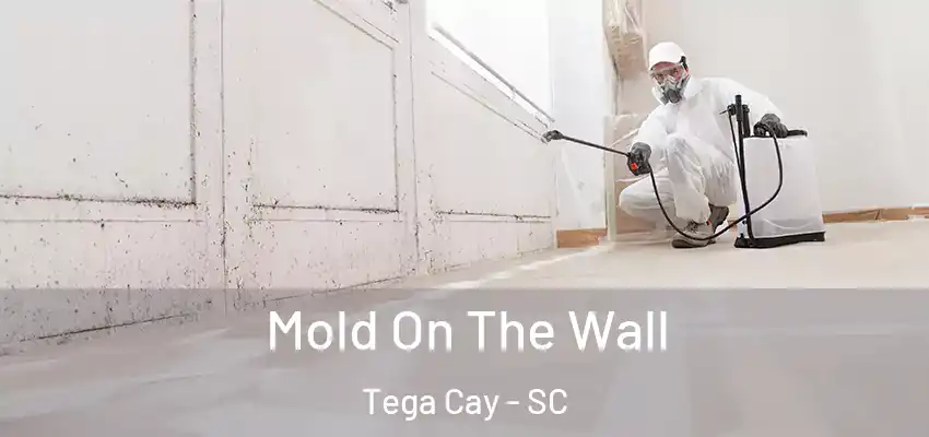  Mold On The Wall Tega Cay - SC