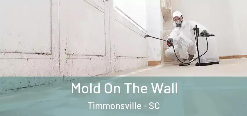  Mold On The Wall Timmonsville - SC