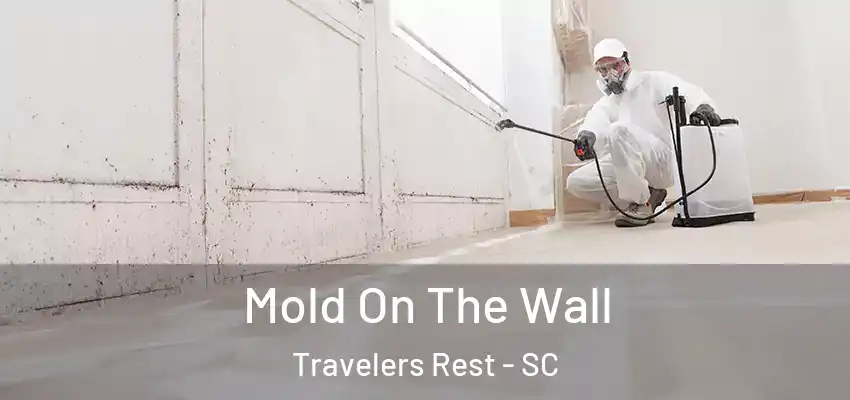 Mold On The Wall Travelers Rest - SC