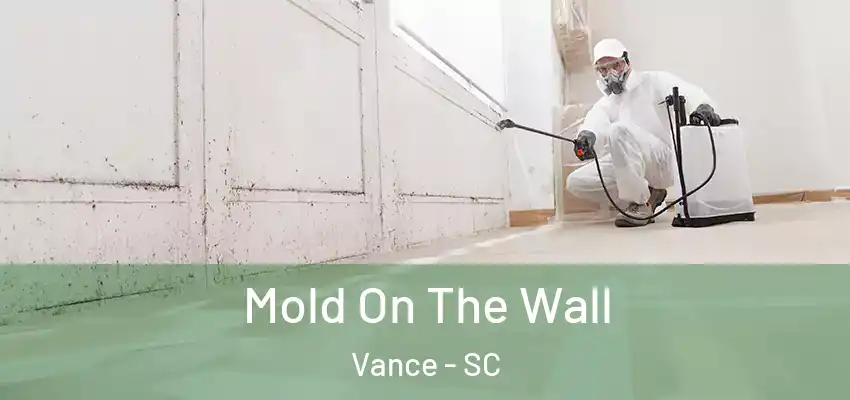  Mold On The Wall Vance - SC