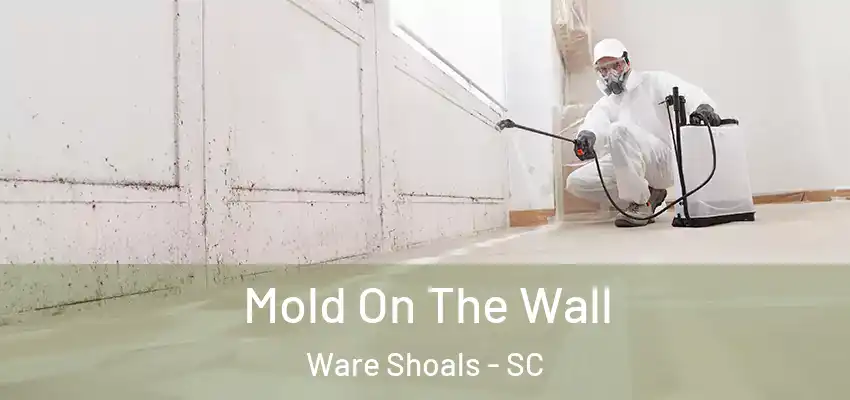  Mold On The Wall Ware Shoals - SC