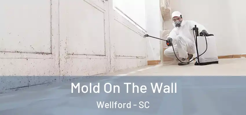  Mold On The Wall Wellford - SC