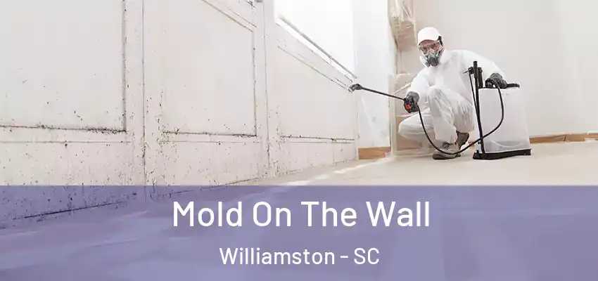  Mold On The Wall Williamston - SC