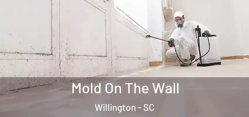  Mold On The Wall Willington - SC
