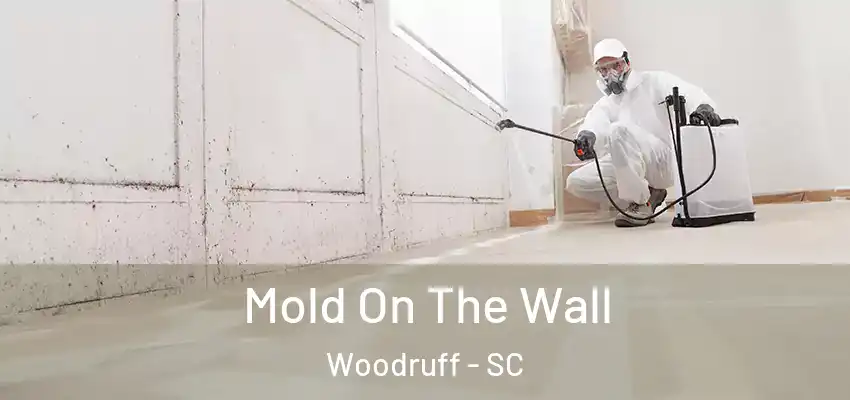 Mold On The Wall Woodruff - SC