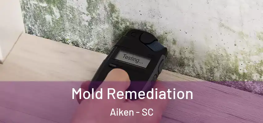  Mold Remediation Aiken - SC