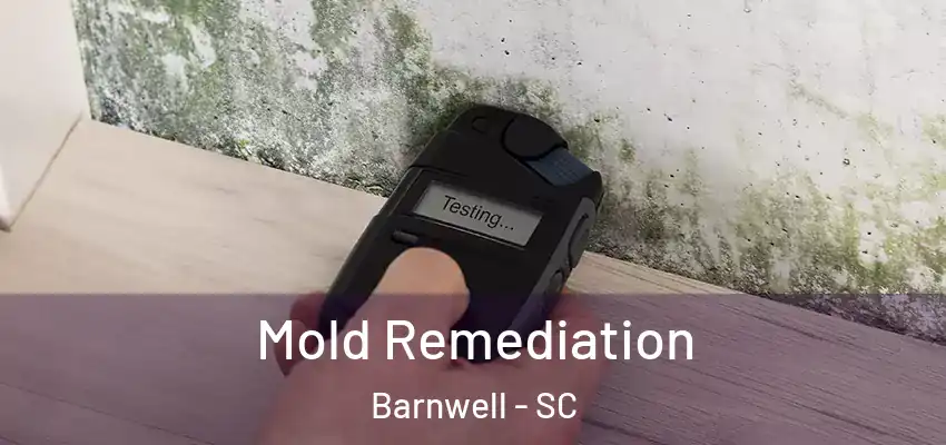  Mold Remediation Barnwell - SC