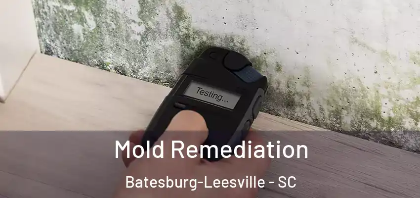  Mold Remediation Batesburg-Leesville - SC