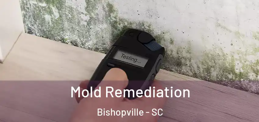 Mold Remediation Bishopville - SC
