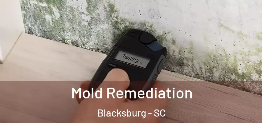 Mold Remediation Blacksburg - SC