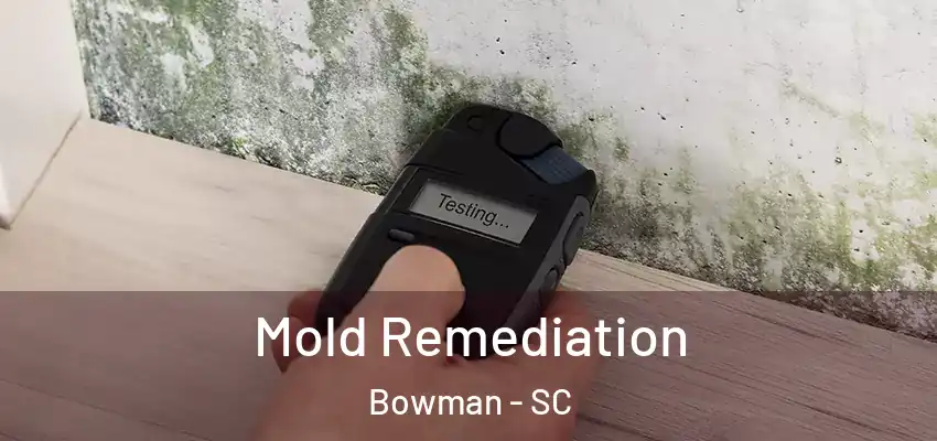  Mold Remediation Bowman - SC