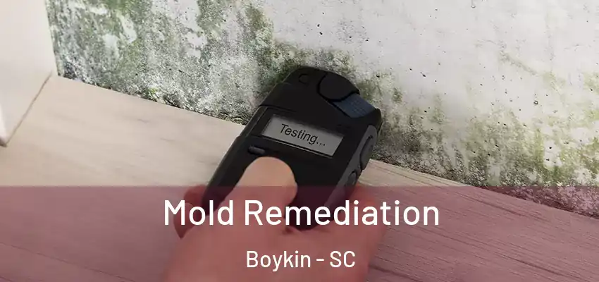  Mold Remediation Boykin - SC