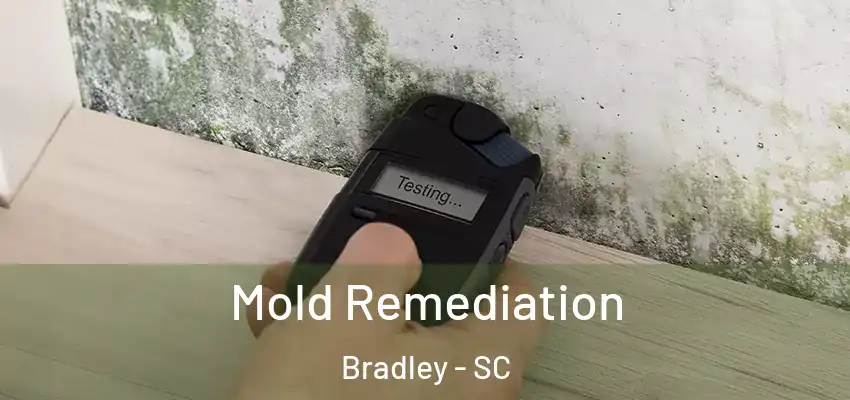 Mold Remediation Bradley - SC