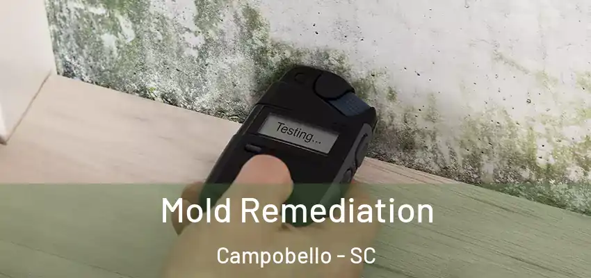 Mold Remediation Campobello - SC