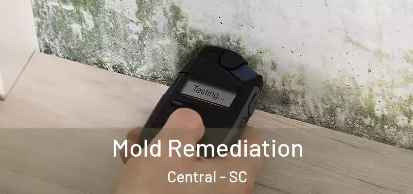 Mold Remediation Central - SC