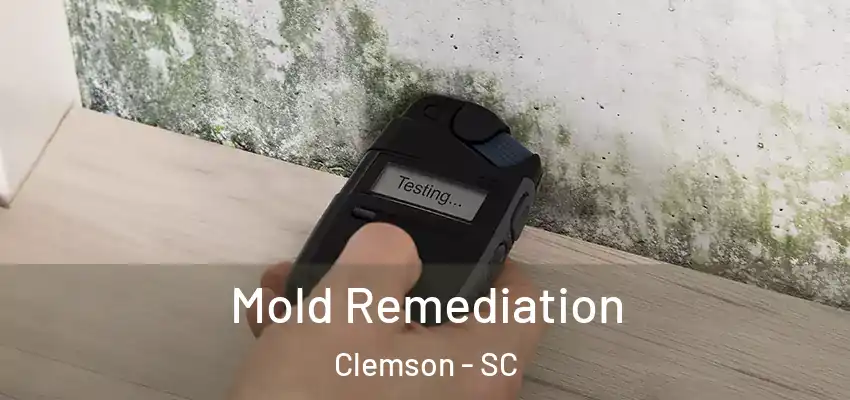  Mold Remediation Clemson - SC