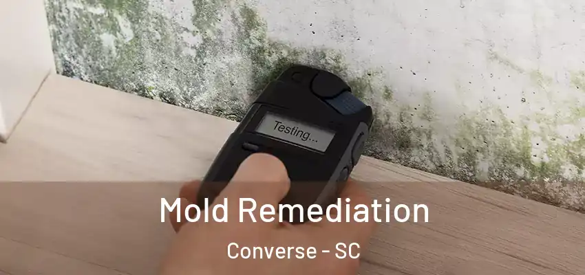 Mold Remediation Converse - SC