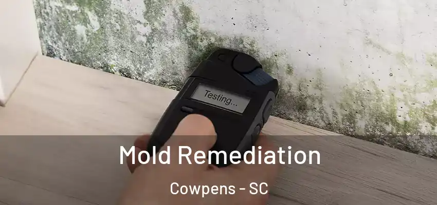  Mold Remediation Cowpens - SC