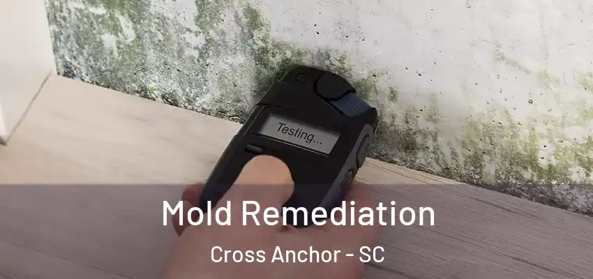  Mold Remediation Cross Anchor - SC