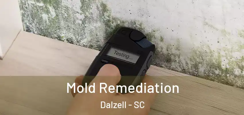 Mold Remediation Dalzell - SC