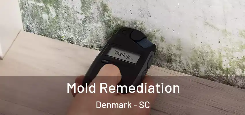 Mold Remediation Denmark - SC