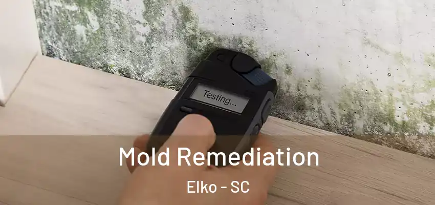  Mold Remediation Elko - SC