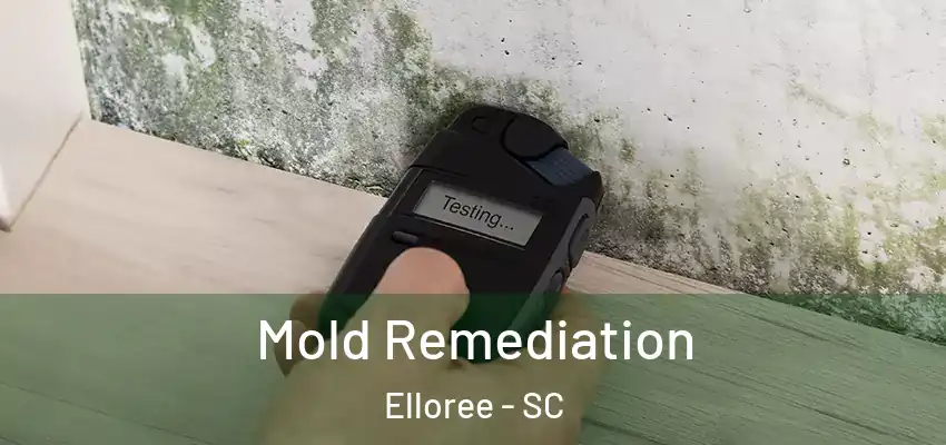  Mold Remediation Elloree - SC