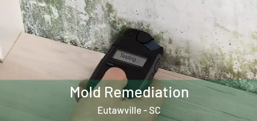  Mold Remediation Eutawville - SC