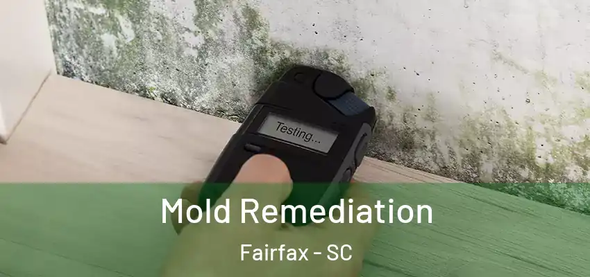  Mold Remediation Fairfax - SC