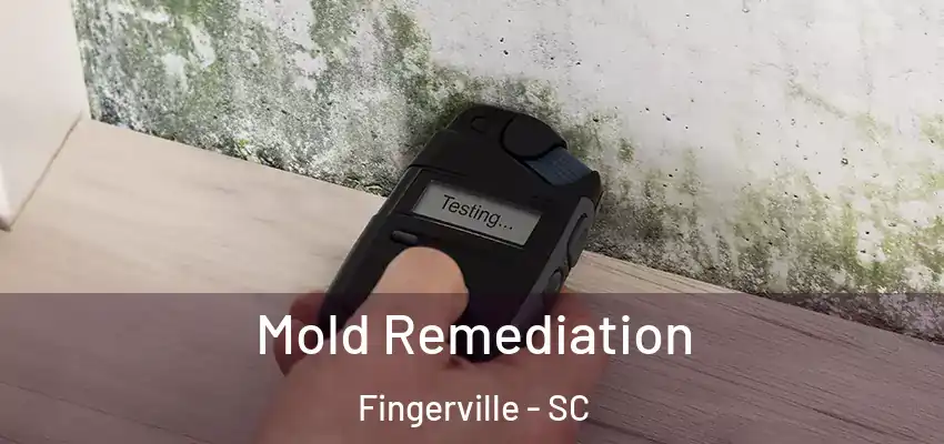 Mold Remediation Fingerville - SC