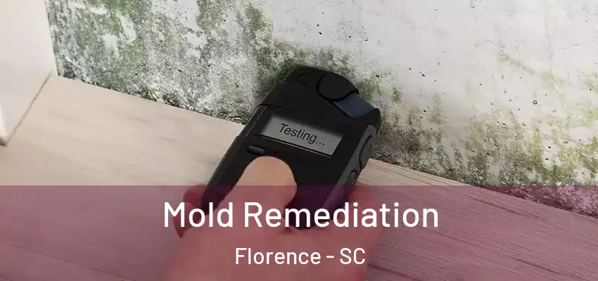  Mold Remediation Florence - SC