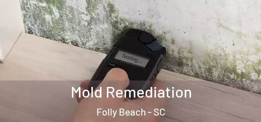  Mold Remediation Folly Beach - SC