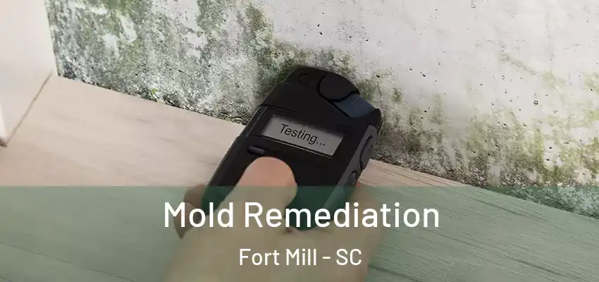 Mold Remediation Fort Mill - SC