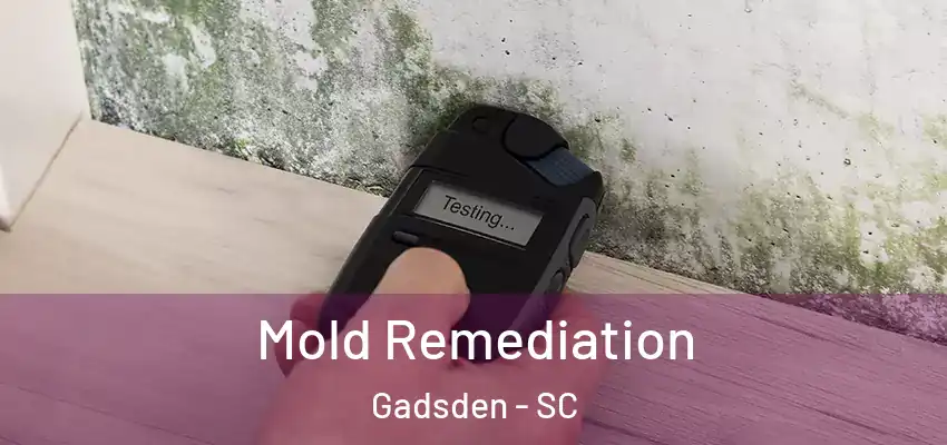  Mold Remediation Gadsden - SC