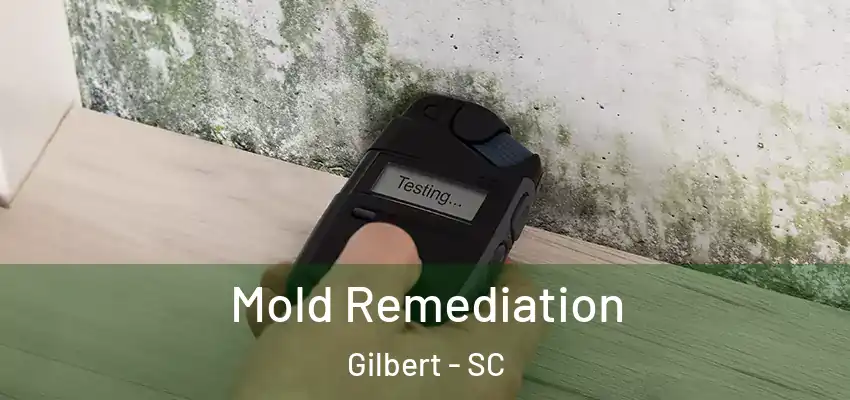 Mold Remediation Gilbert - SC