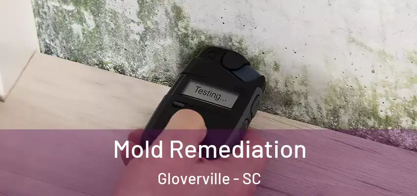  Mold Remediation Gloverville - SC