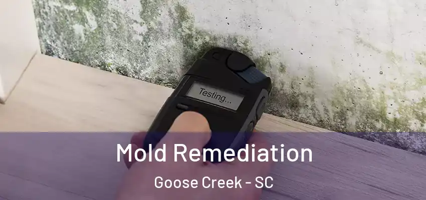  Mold Remediation Goose Creek - SC