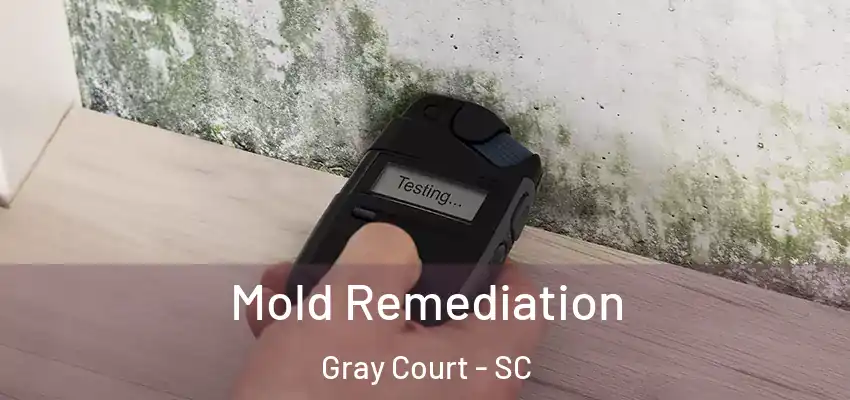  Mold Remediation Gray Court - SC