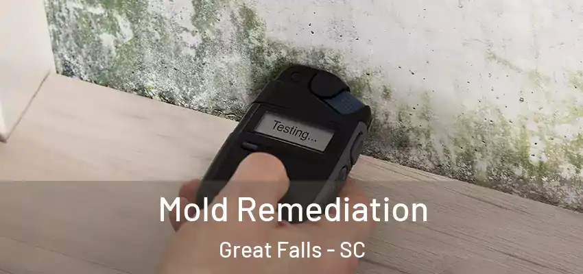 Mold Remediation Great Falls - SC