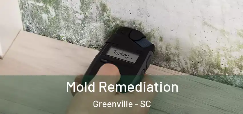  Mold Remediation Greenville - SC