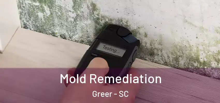 Mold Remediation Greer - SC