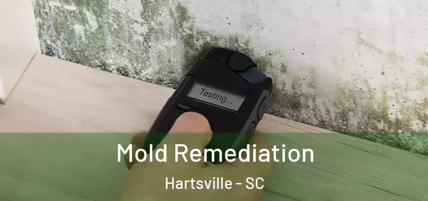  Mold Remediation Hartsville - SC
