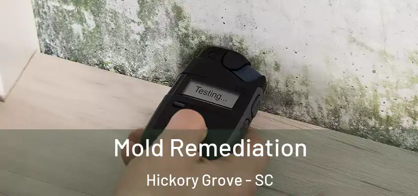 Mold Remediation Hickory Grove - SC