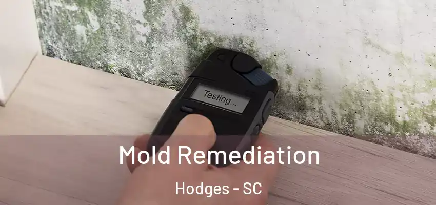 Mold Remediation Hodges - SC