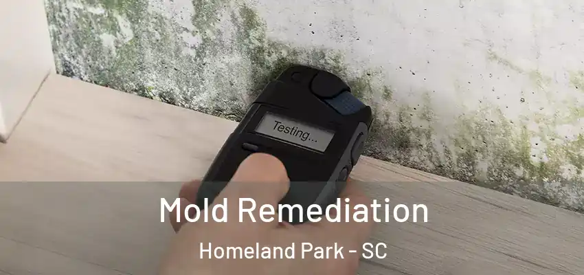 Mold Remediation Homeland Park - SC