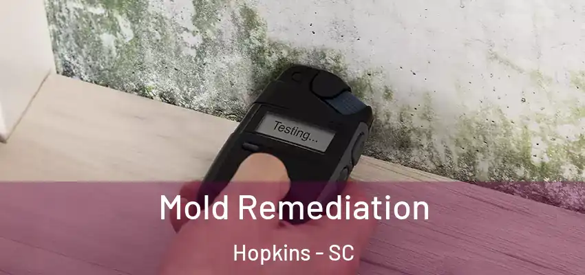  Mold Remediation Hopkins - SC